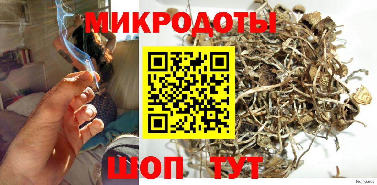 Псилоцибиновые грибы мицелий  наркота  Камышин  Галлюциногенные грибы Cubensis  Вход с VPN 